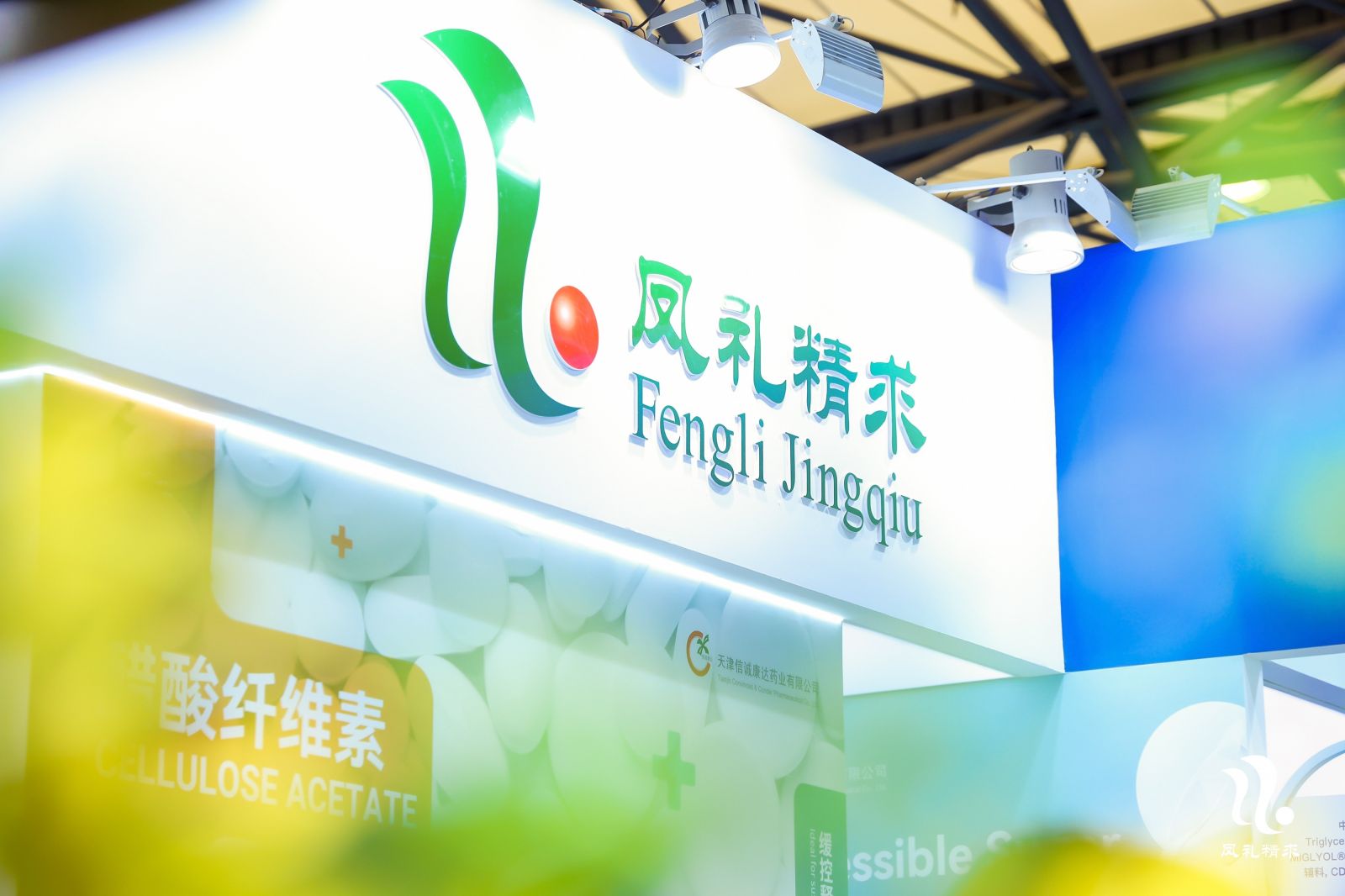 久久精品国产精品九九99