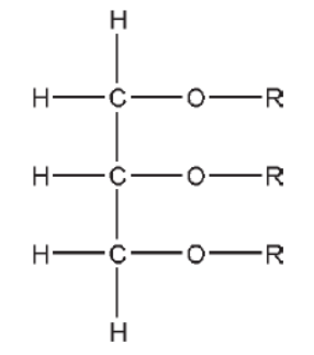 久久精品国产精品九九99