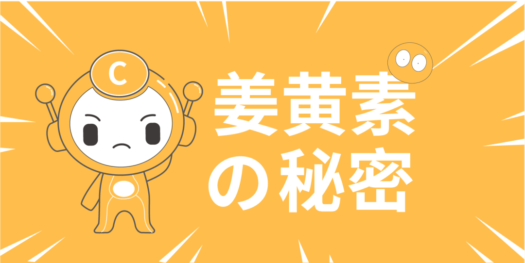 久久精品国产精品九九99