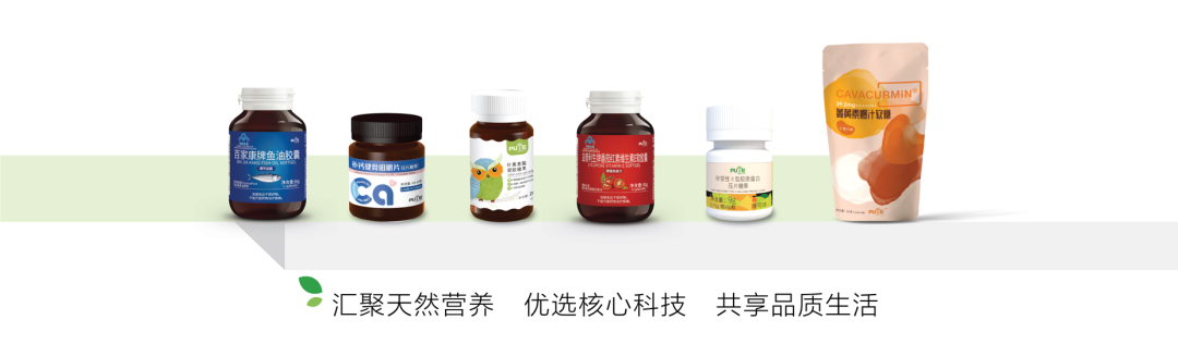 久久精品国产精品九九99