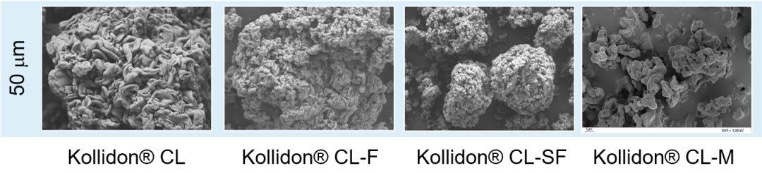 久久精品国产精品九九99