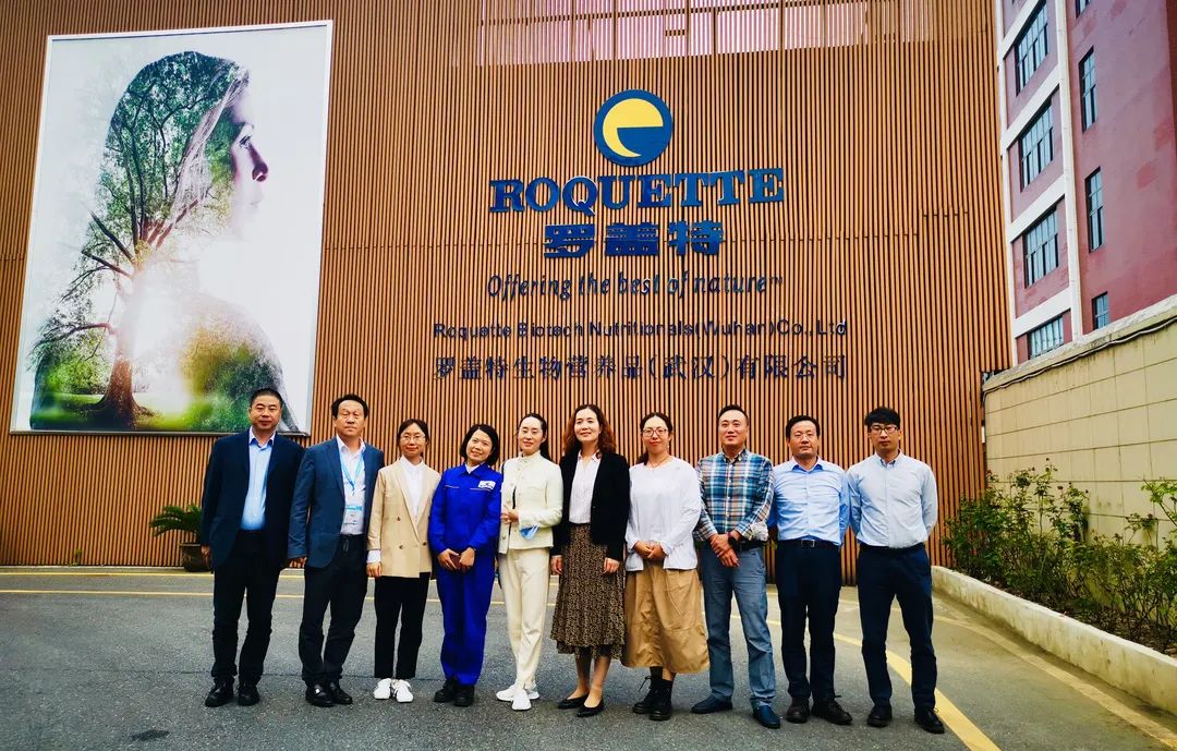 久久精品国产精品九九99