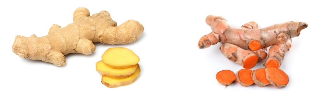 久久精品国产精品九九99