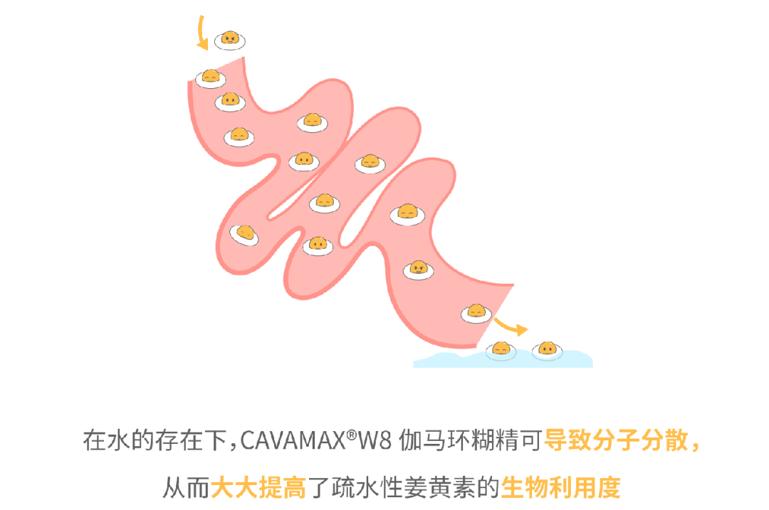 久久精品国产精品九九99